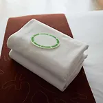 イビス ガル 3* ディジョン