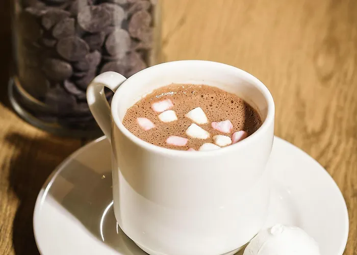 イビス ガル ディジョン